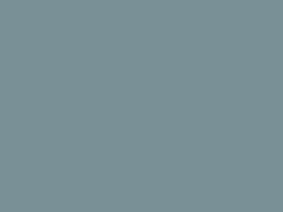 Solid Dark Gray