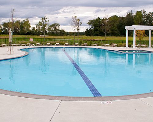 Pools built by Landi Pools and Games