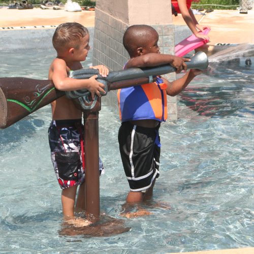 Custom Gunite Pools by Landi Pools